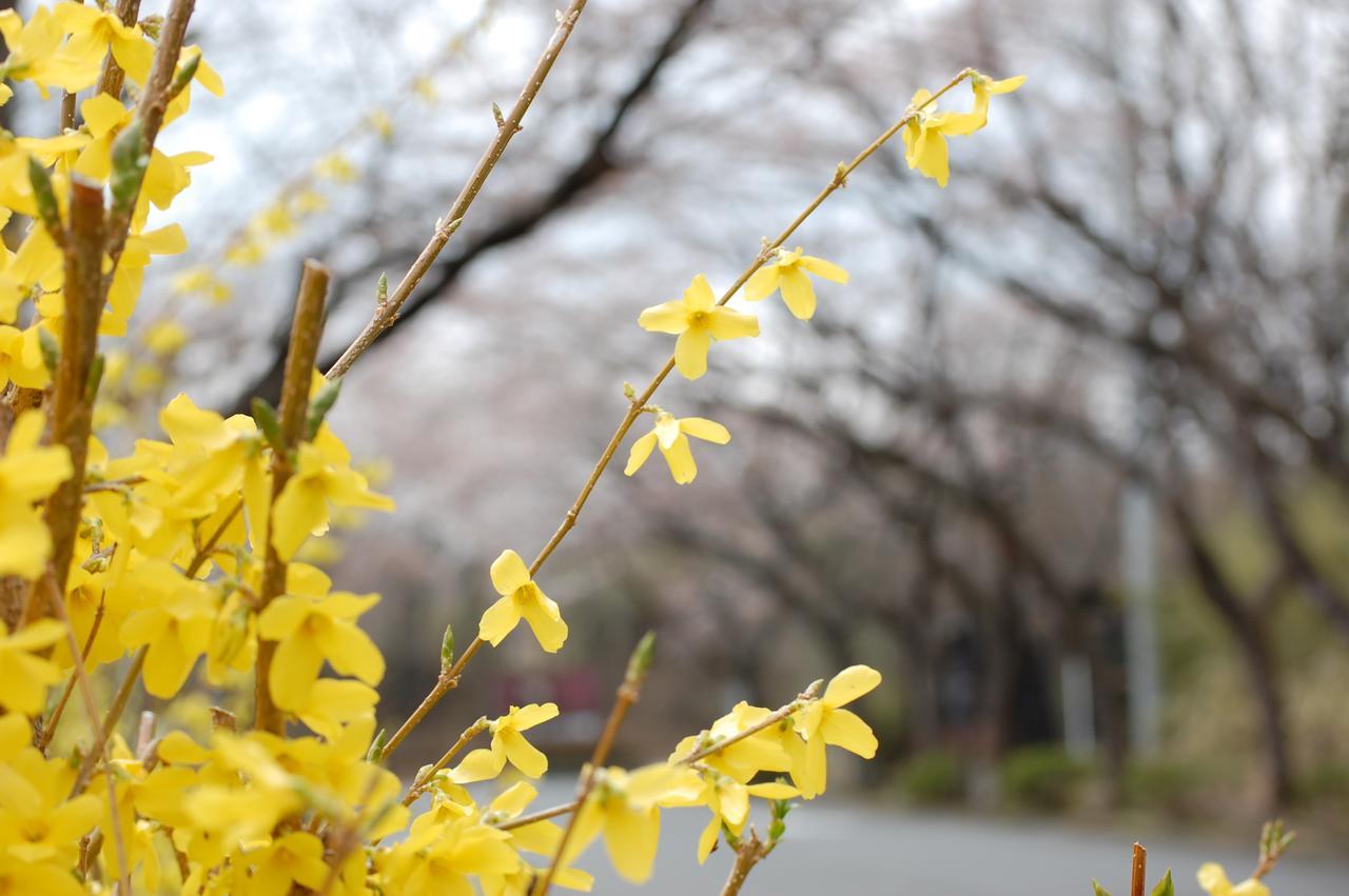 Hotel Kunihiro Yashiki Nasu Esterno foto
