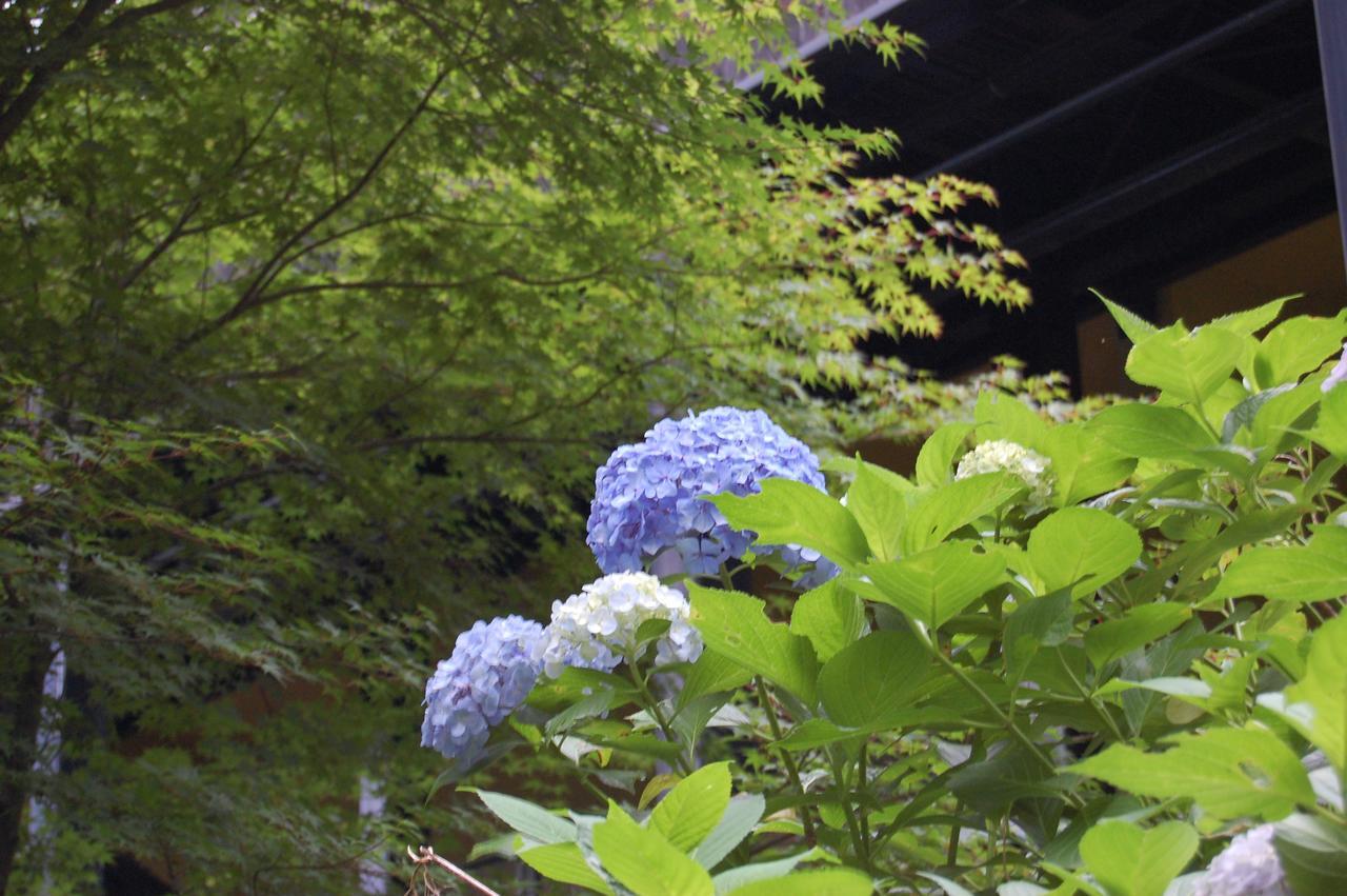 Hotel Kunihiro Yashiki Nasu Esterno foto